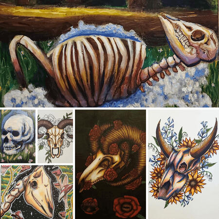 Skull &amp; Skeleton Art