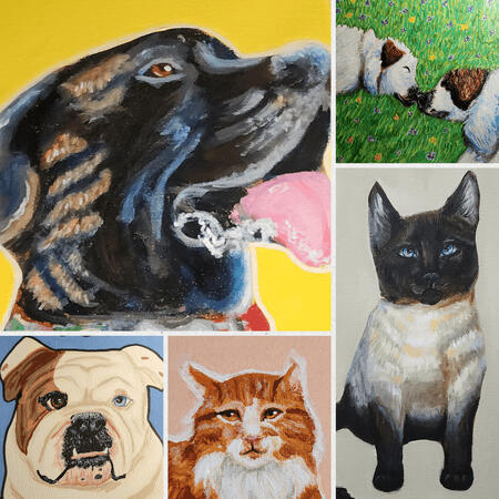 Pet Portraits